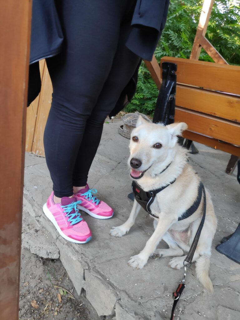 Májli nagyon cukin ül a budapesti Japánkert Zuglóban