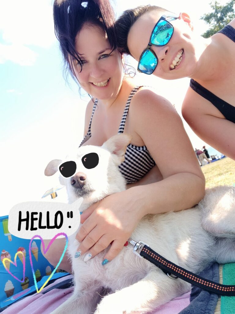 Fonyód, Kutyastrand, mókás fotó