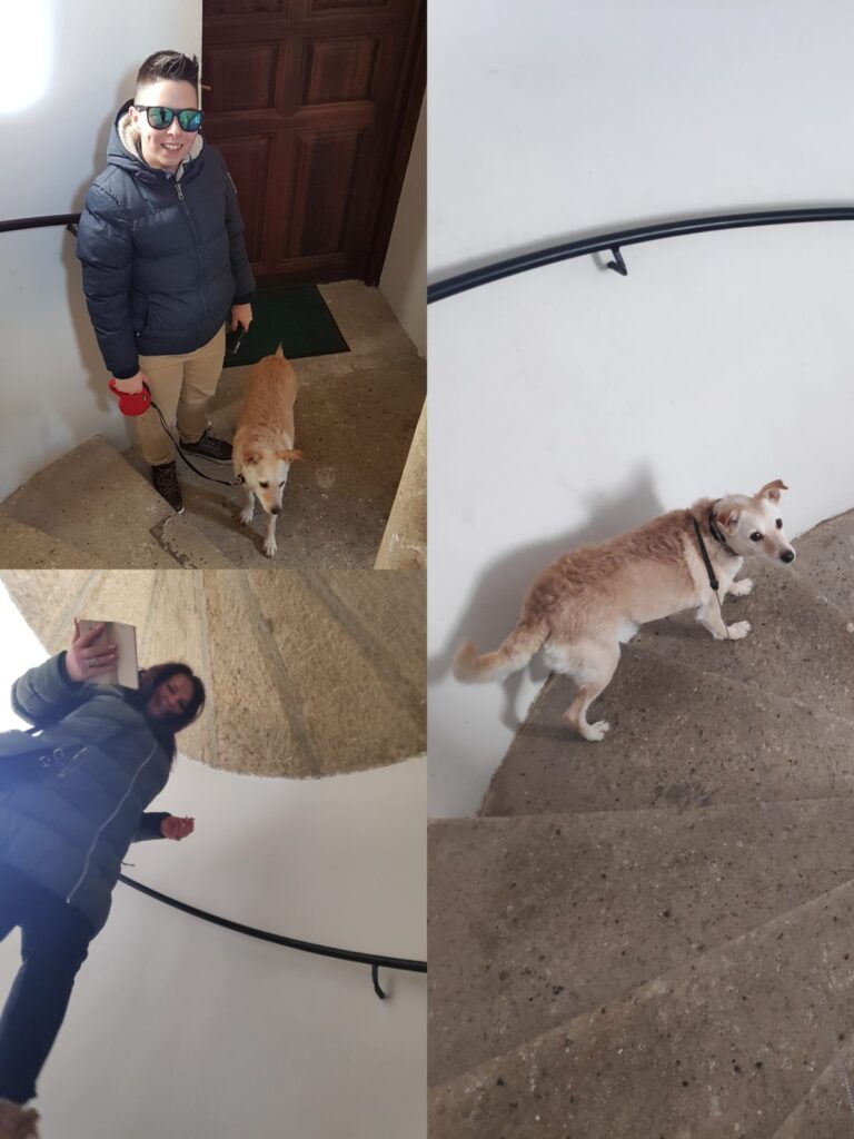 Parádsasvár - Kastélyhotel Sasvár 45 Évivel és Májli kutyával felfedezzük a parádsasvári Kastélyhotel Sasvár tornyát